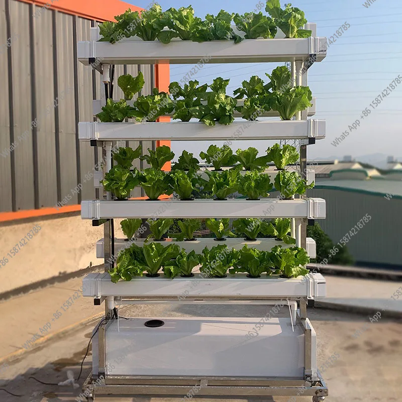 نظام زراعة الزراعة المائية S ز - مراجعة Smart Garden Vertical Planter وسعره