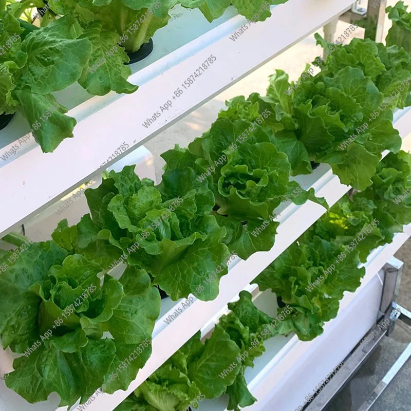 نظام زراعة الزراعة المائية S ز - مراجعة Smart Garden Vertical Planter وسعره