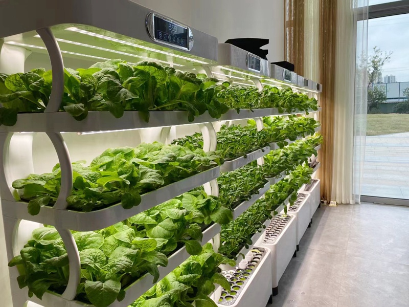 والدفيئة العمودية نظام الزراعة - مراجعة Smart Garden Vertical Planter وسعره