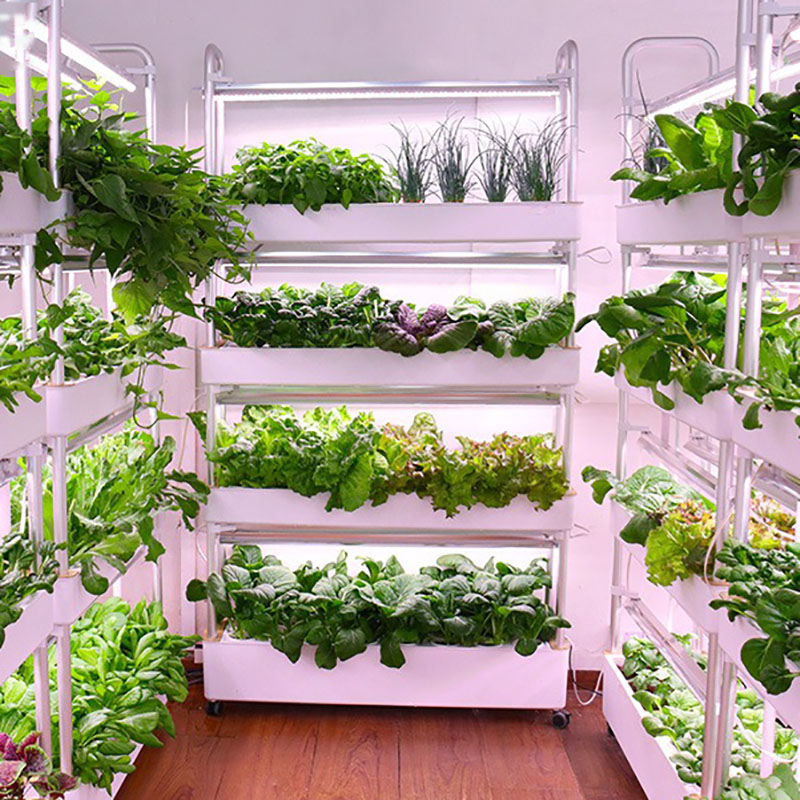 نظام زراعة الزراعة المائية عمو - مراجعة Smart Garden Vertical Planter وسعره