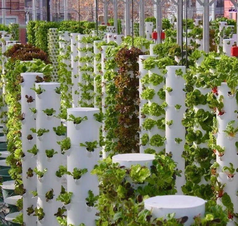 مجموعة حديقة ذكية داخلية، برج  - مراجعة Smart Garden Vertical Planter وسعره