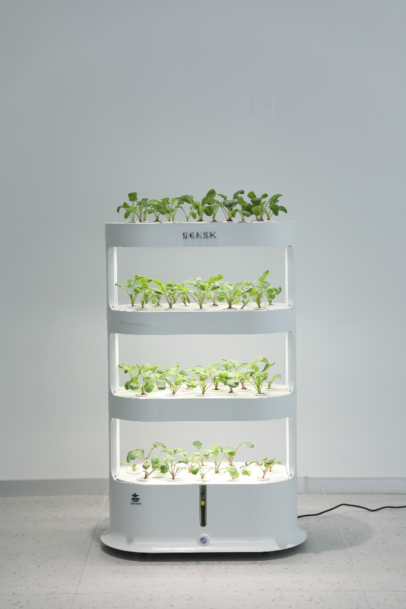 طقم حديقة زراعة مائية ذكي للمن - مراجعة Smart Garden Vertical Planter وسعره
