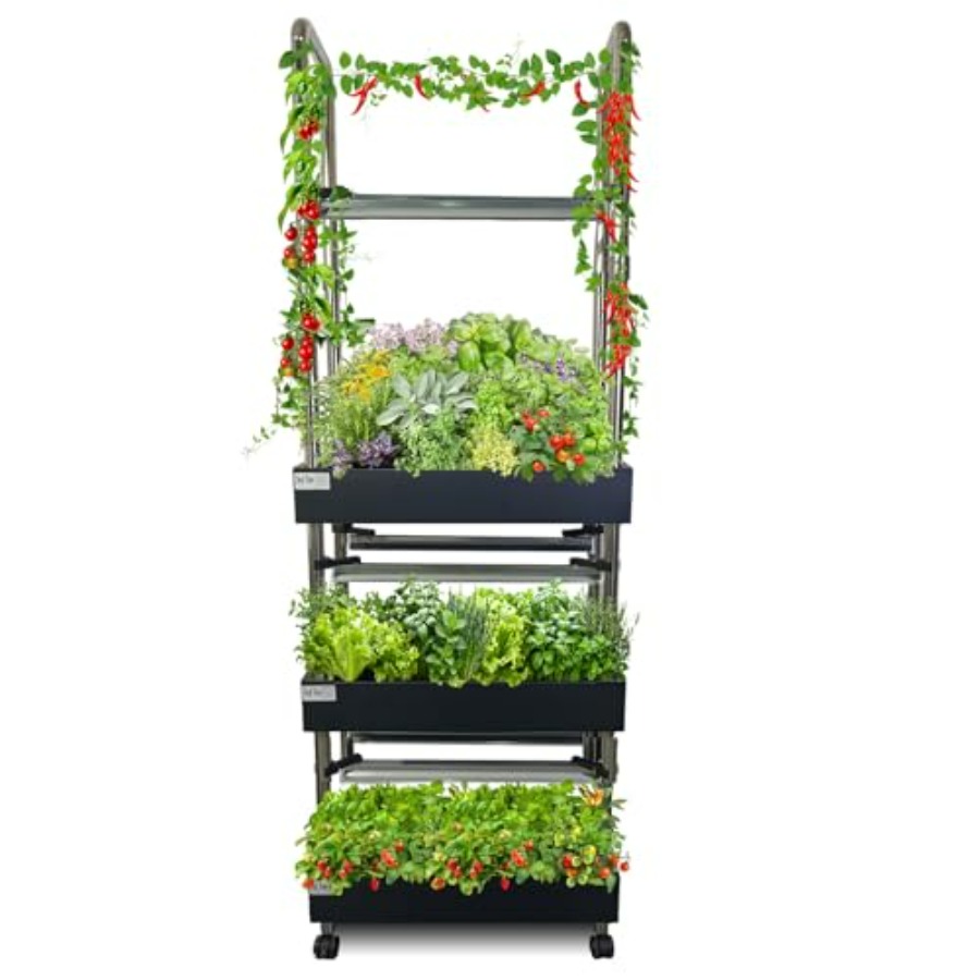 نظام زراعة مائية داخلي: حديقة  - مراجعة Smart Garden Water وسعره