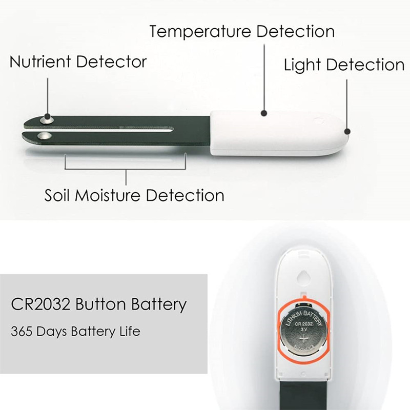 كاشف البستنة HHCC لـ شاومي ميل - مراجعة Smart Garden Water وسعره