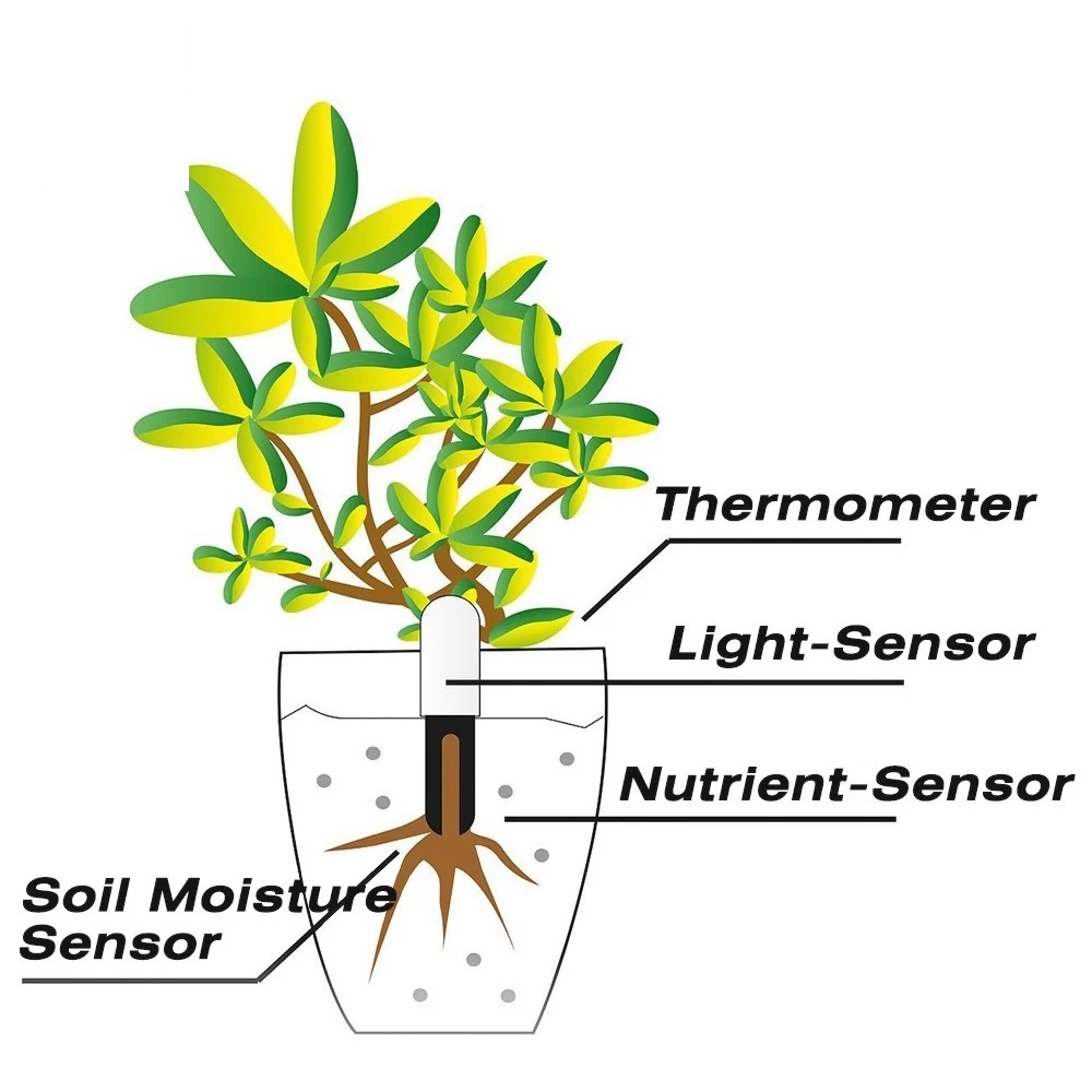 كاشف البستنة HHCC لـ شاومي ميل - مراجعة Smart Garden Water وسعره